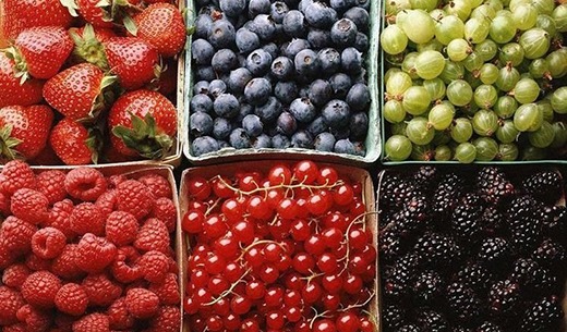 dm_Frutas